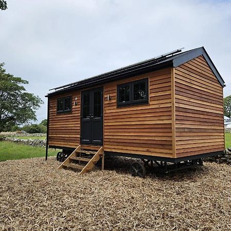 Woodland Shepherds Hut - 'Saga' كارنارفون المظهر الخارجي الصورة