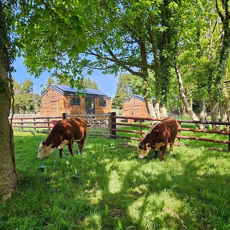 Woodland Shepherds Hut - 'Saga' كارنارفون المظهر الخارجي الصورة