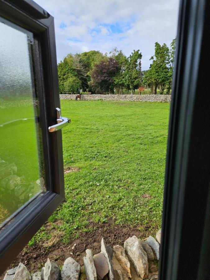 Woodland Shepherds Hut - 'Saga' كارنارفون المظهر الخارجي الصورة