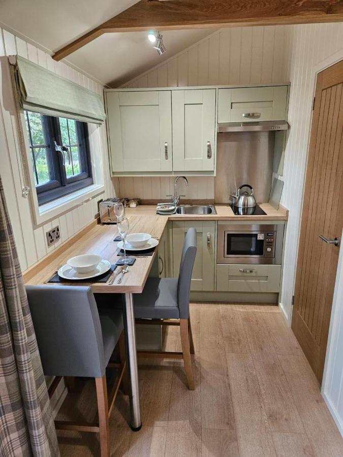 Woodland Shepherds Hut - 'Saga' كارنارفون المظهر الخارجي الصورة