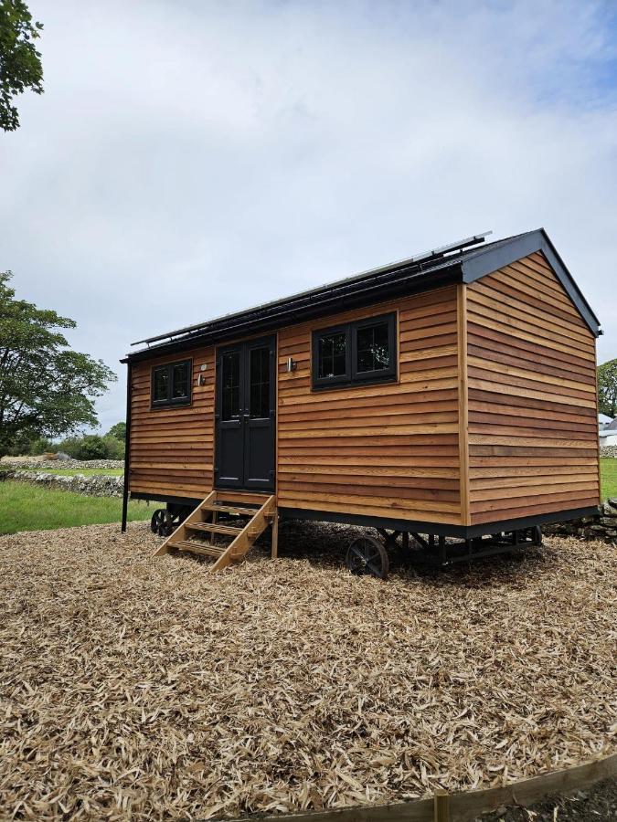 Woodland Shepherds Hut - 'Saga' كارنارفون المظهر الخارجي الصورة
