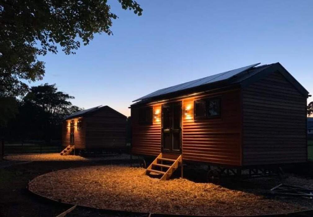Woodland Shepherds Hut - 'Saga' كارنارفون المظهر الخارجي الصورة